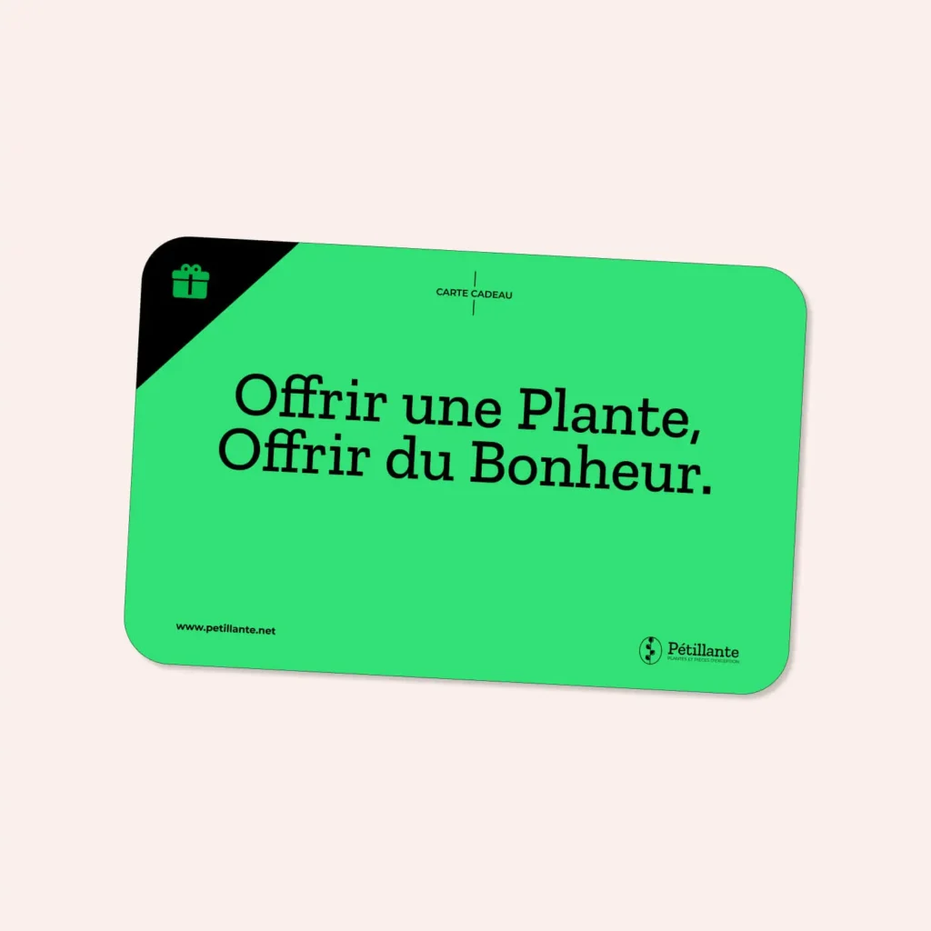 Carte Cadeau Plante