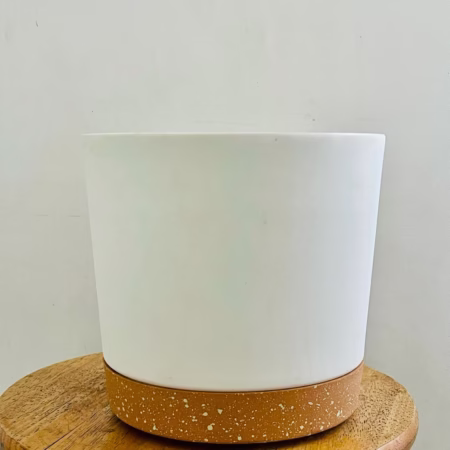 pot de plantes d'intérieur