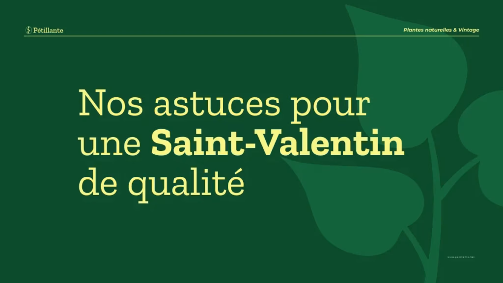 Saint-Valentin : 5 secrets pour une soirée de douceur chez soi