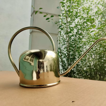 Arrosoir Retro Doré