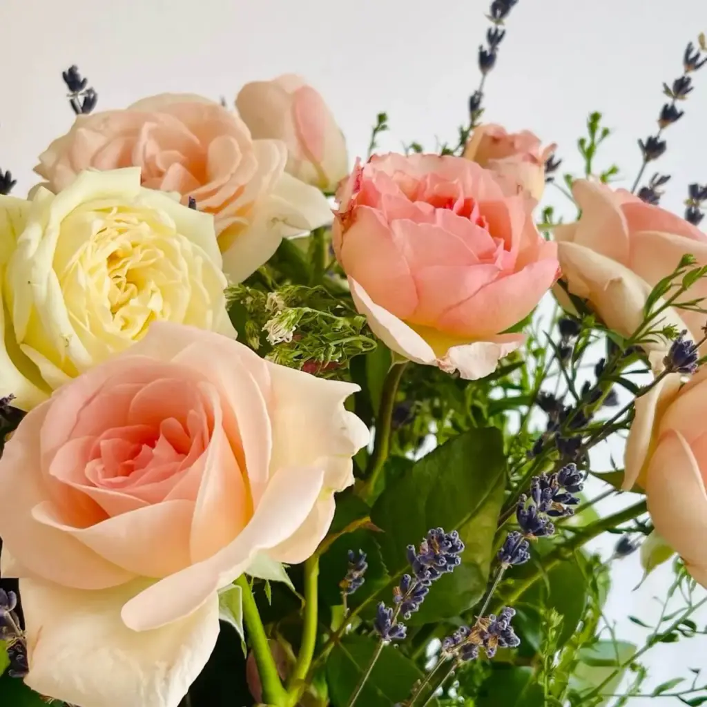 Arrangement floral de tiges de rose fraiches et de tiges de lavande bleue.
