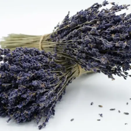 bouquet de lavande bleue BIO